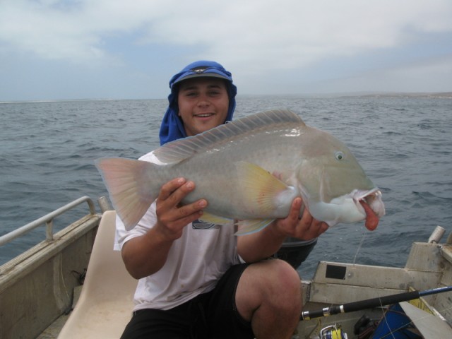 2nd fish in tinny